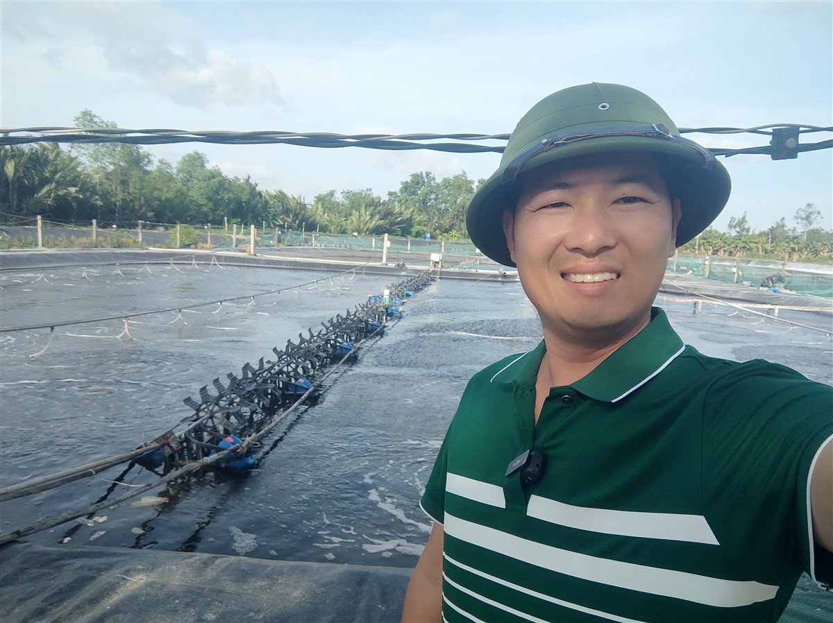 Cách tăng oxy hòa tan cho ao nuôi tôm - giàn quạt lông nhím chạy đảo nước tạo dòng đưa oxy xuống đáy ao