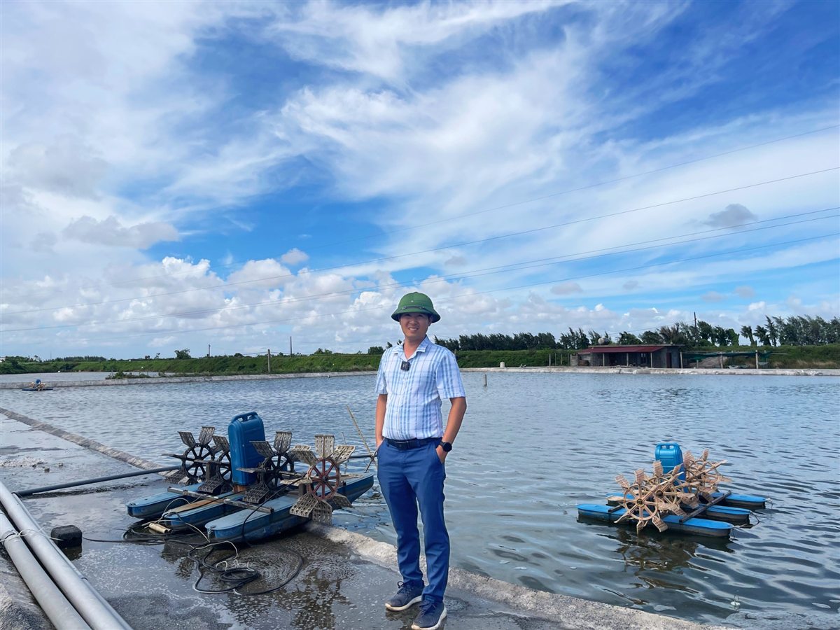 Thiện Mũ Cối tư vấn cải tạo ao nuôi tôm