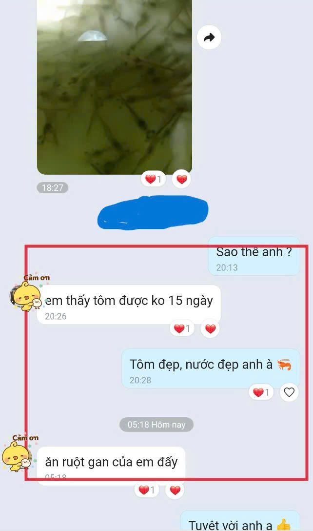 Feedback khách Men Gan Ruột tôm đẹp - Thiện Mũ Cối