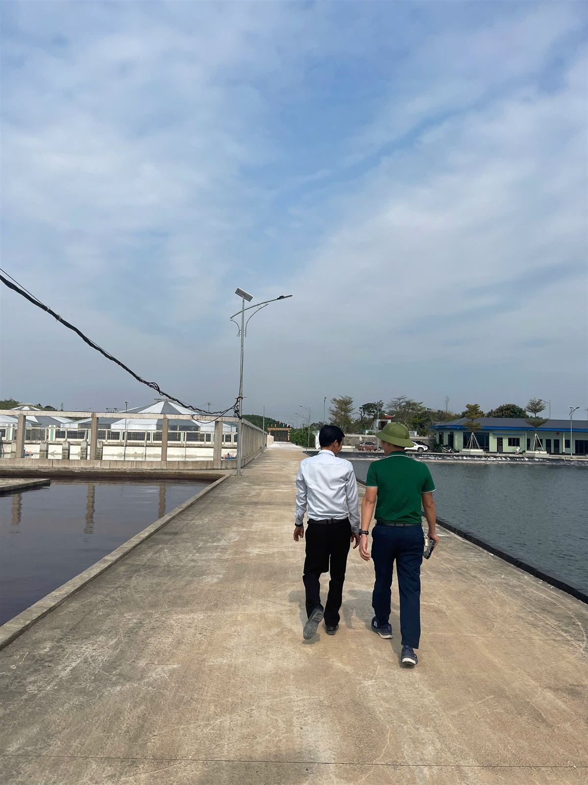 Khu ao lắng xử lý nước cấp cho ao nuôi tôm — nền tảng để dùng vi sinh carbon giữ nước sạch