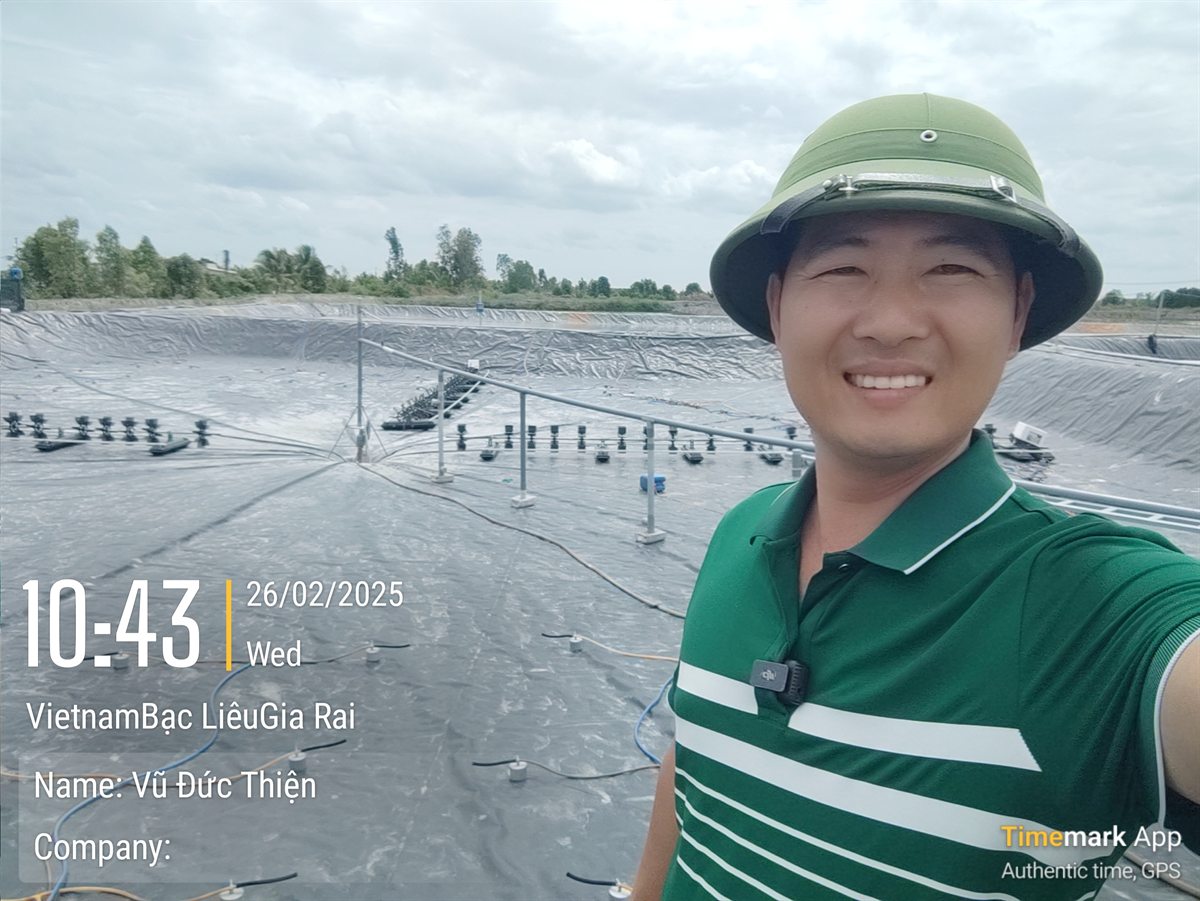 Ao bạt lớn vừa lắp xong dàn quạt và hệ thống oxy đáy, chuẩn bị nhận tôm sang trong mô hình nuôi tôm 2 giai đoạn